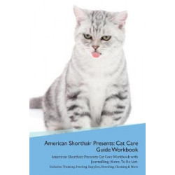 American Shorthair Cat Presents