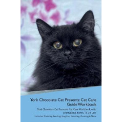 York Chocolate Cat Presents