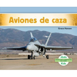 Aviones De Caza / Military Fighter Aircraft