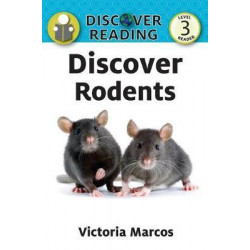 Discover Rodents