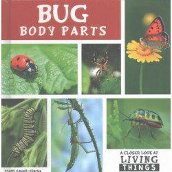 Bug Body Parts