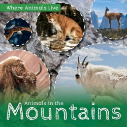 Animals in the Mountains