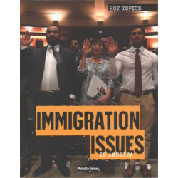 Immigration Issues in America