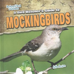 A Bird Watcher's Guide to Mockingbirds