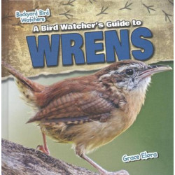 A Bird Watcher's Guide to Wrens