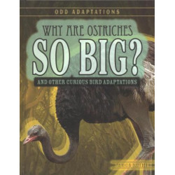 Why Are Ostriches So Big?
