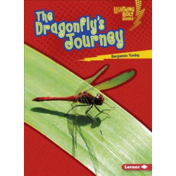 The Dragonfly's Journey