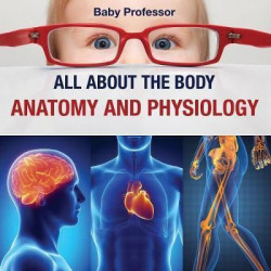 All about the Body Anatomy and Physiology