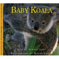 Baby Koala