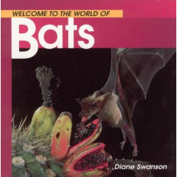 Welcome to the World of Bats