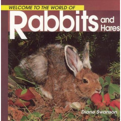 Welcome Rabbits (Wonderful Wor