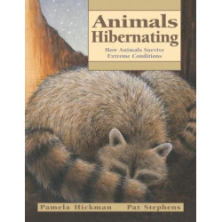Animals Hibernating