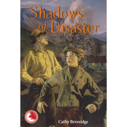 Shadows of Disaster