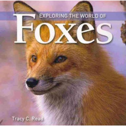 Exploring the World of Foxes