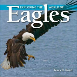 Exploring the World of Eagles