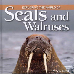 Exploring the World of Seals & Walruses