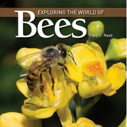 Exploring the World of Bees