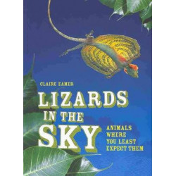 Lizards in the Sky
