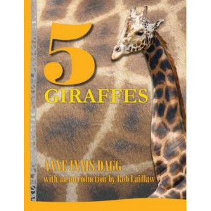 5 Giraffes