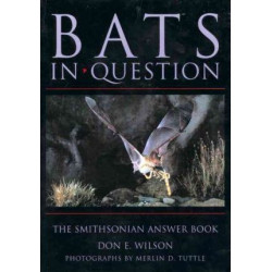 Bats in Question