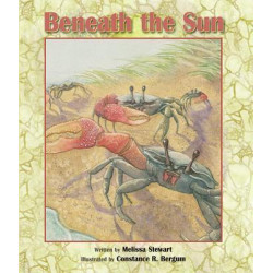 Beneath the Sun
