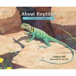 About Reptiles