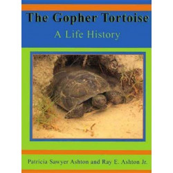The Gopher Tortoise