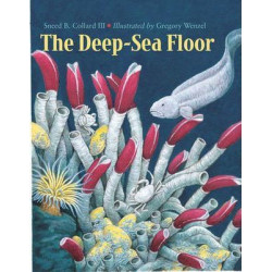 The Deep-Sea Floor