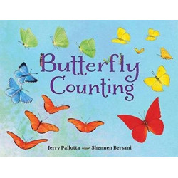 Butterfly Counting
