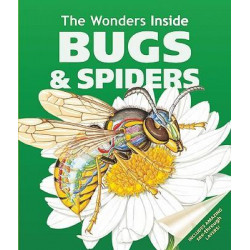 The Wonders Inside: Bugs and Spiders