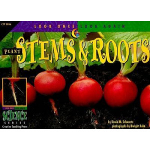 Plant Stems & Roots