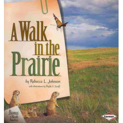 A Walk in the Prairie
