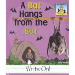 Bat Hangs from the Bat