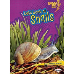 Let's Look at Snails