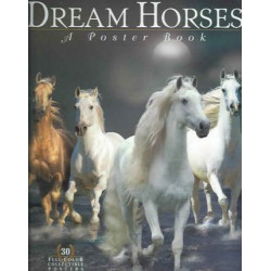 Dream Horse a Poster Book