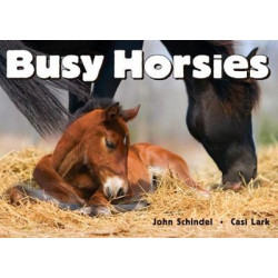 Busy Horsies