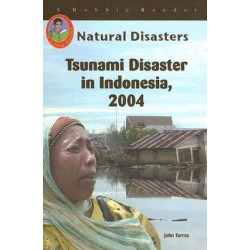 Tsunami Disaster in Indonesia, 2004