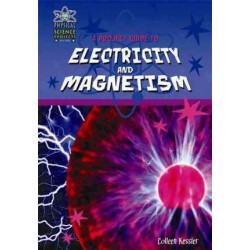 A Project Guide to the Electricity and Magnetism
