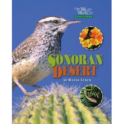 The Sonoran Desert