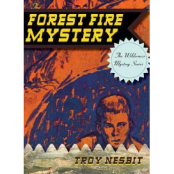 The Forest Fire Mystery
