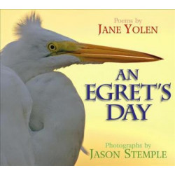 An Egret's Day