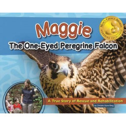 Maggie the One-Eyed Peregrine Falcon
