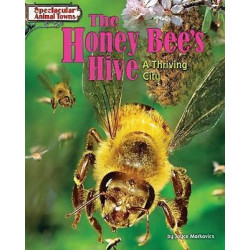 The Honey Bee's Hive