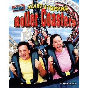 Heart-Stopping Roller Coasters