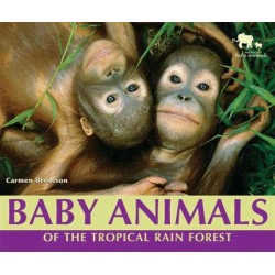 Baby Animals of the Tropical Rain Forest