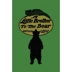 A Little Brother to the Bear