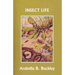 Insect Life (Yesterday's Classics)