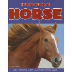 If You Were a Horse