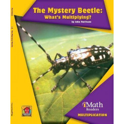 The Mystery Beetle