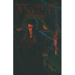 Angel After The Fall, Vol. 1